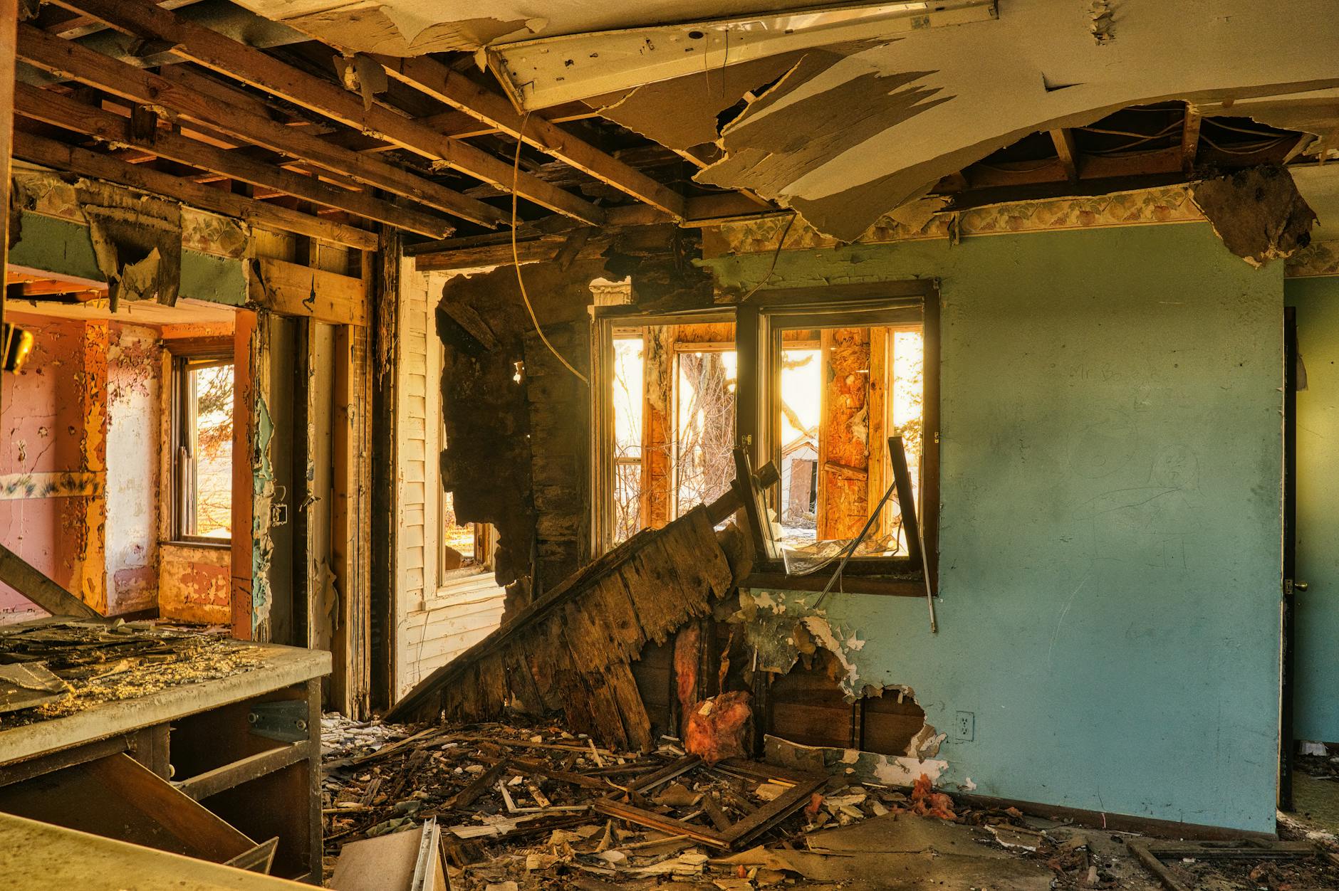 Our Story: Dedicated to a Mold-Free Lakeland